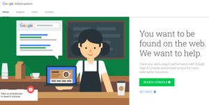 WooCommerce Missing Fields "brand", "review", "global identifier" and "aggregate rating"